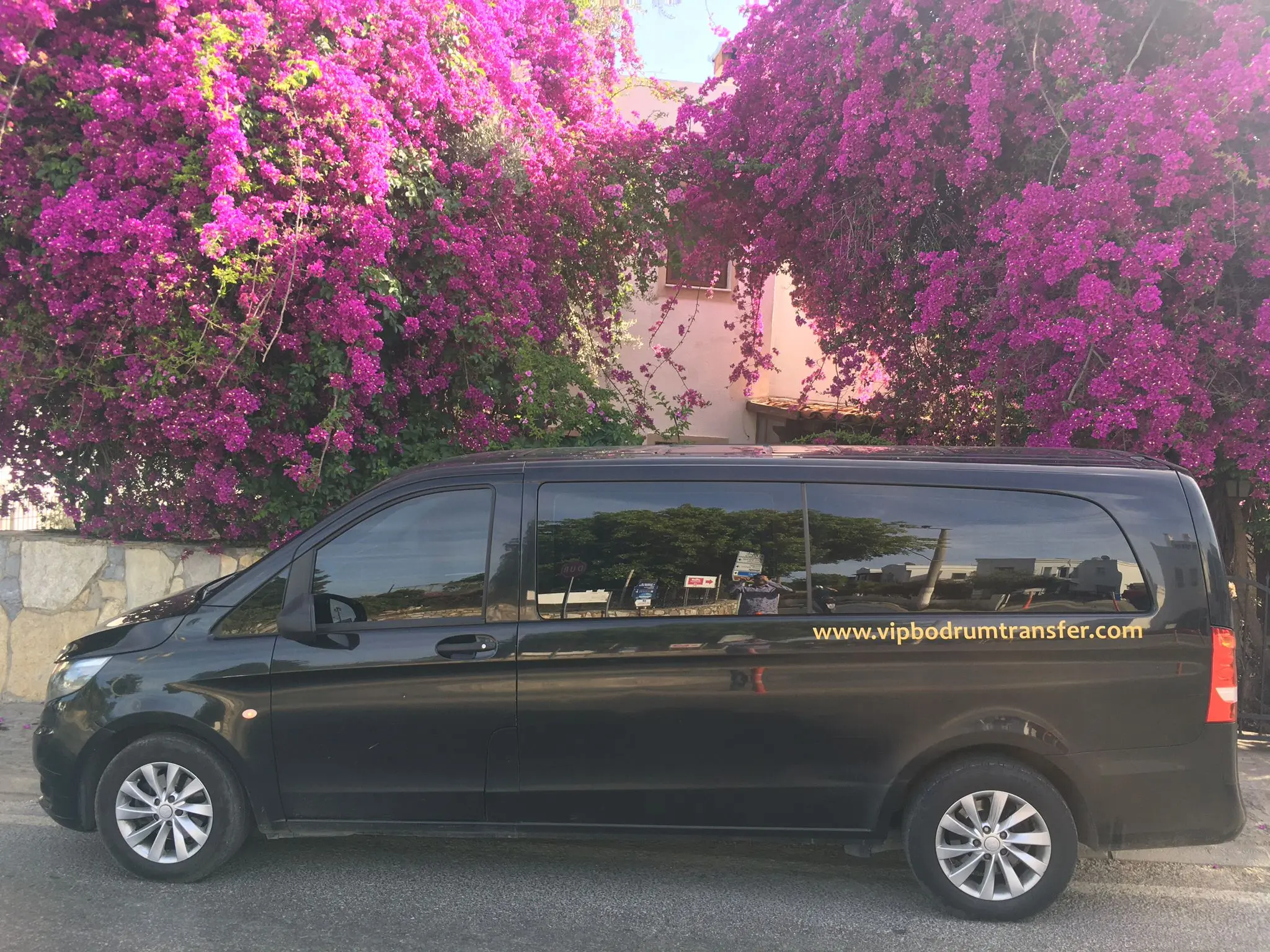 Milas Bodrum Havalimanı Transfer